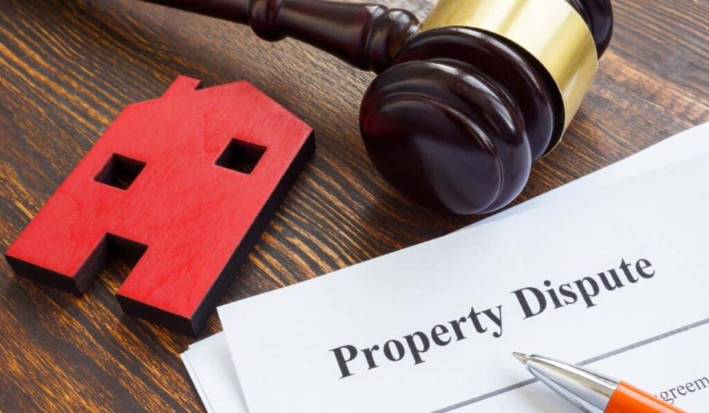 NRI Property Disputes in India